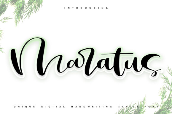 Maratus Font: Elevating Web Design with Handwritten Style