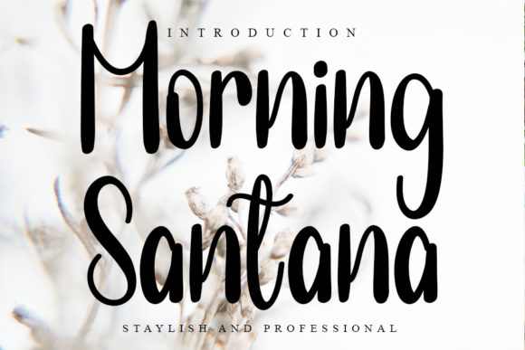 Morning Santana: A Delicate Handwritten Font for Web Design