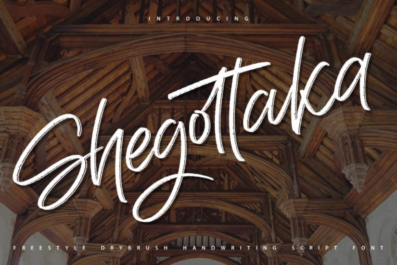 Shegottaka Font: A Designer’s Review